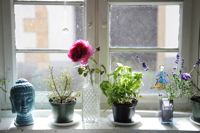 Fensterschmuck_DSC9041