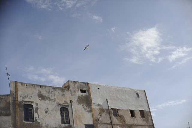 post_DSC1488