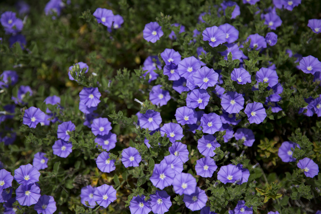 Post_Sensitiv6R3A2540