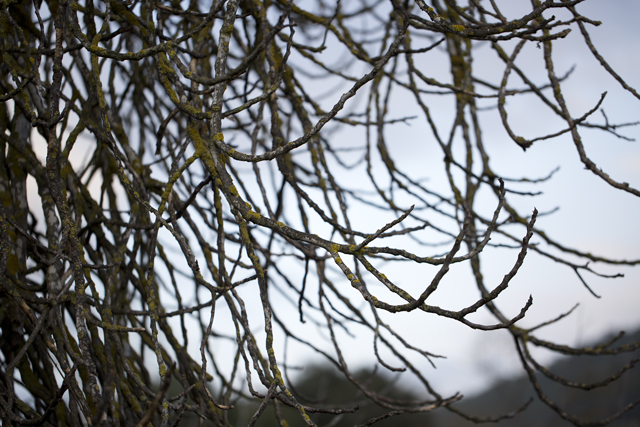 pollock_best6r3a2286