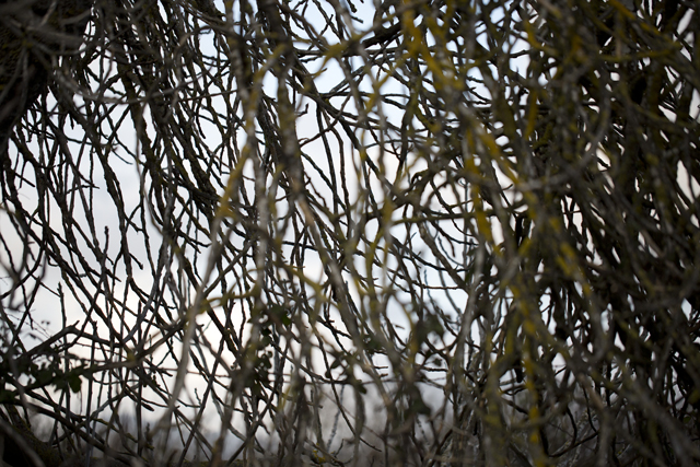 pollock_best6r3a2302