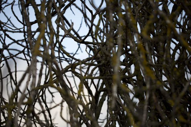 pollock_best6r3a2306